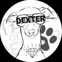 Dexter(@talesofdexter) 's Twitter Profile Photo