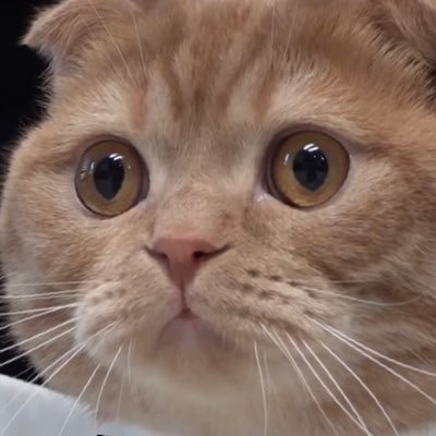 gnuplot_ssbu's profile picture. サムス、ジョーカー使い