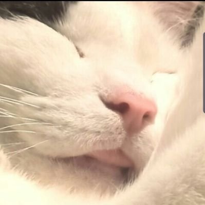 猫と嵐とゲームとウルトラマン好き
常時金欠の山形大学2年生‼️
🌈🕒箱推し (特に🔔、🌐💫)
APEXS17😈それ以前💎
VALORANT初心者etc.....