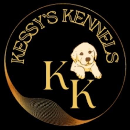 kessy's kennels
