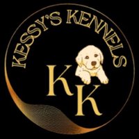 kessy's kennels(@kessys_kennels) 's Twitter Profile Photo