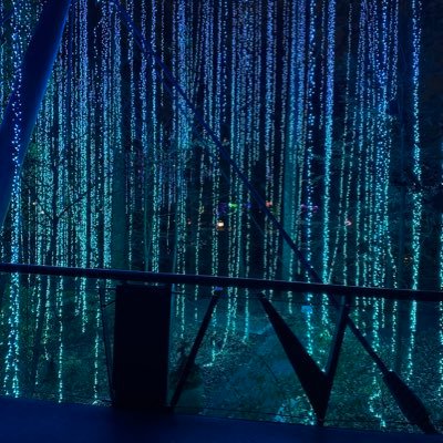 amit90k's profile picture. 