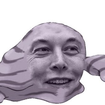 hey what’s up, it’s Elon Muk