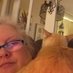 Trish Starr (@trishstarr9436) Twitter profile photo Trish Starr (@trishstarr9436) Twitter profile photo