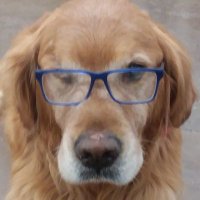 Jacob Bartow (@jacobbartow1) 's Twitter Profile