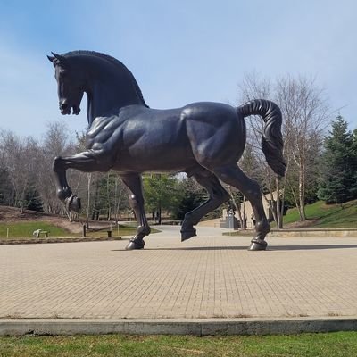 SandyRecker2017's profile picture. 