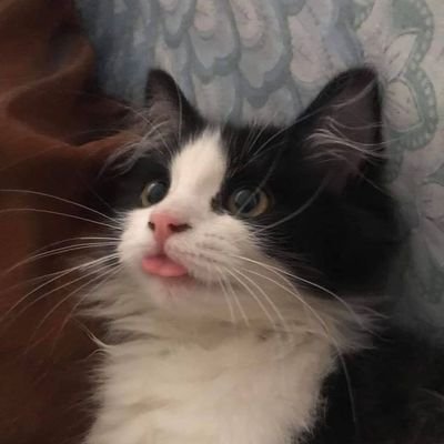 Viiih_loise's profile picture. A❤️‍🩹