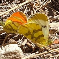 La Fuerza de Existir 🔻 (@fuerzadeexistir) 's Twitter Profile Photo