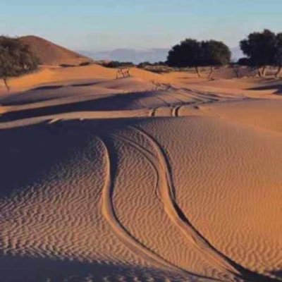 AlmkhybyMhna's profile picture. M