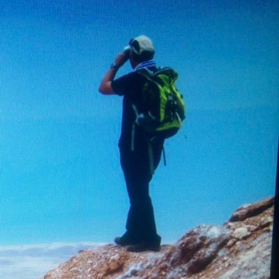 Rotfuch87268839's profile picture. 