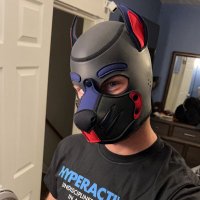 pupAXX (@axxpup) 's Twitter Profile Photo