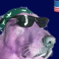 Golden Advice 🇺🇲🇺🇲🇺🇲 (@richardstiller4) Twitter profile photo