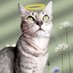 dairussss (@dairuzaza1) Twitter profile photo dairussss (@dairuzaza1) Twitter profile photo