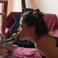 dika (@eulimane) 's Twitter Profile