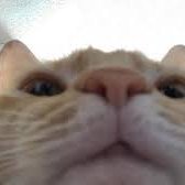 Winton (@2winton1) 's Twitter Profile Photo Winton (@2winton1) 's Twitter Profile Photo