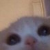 uwu (@uwu1331274) Twitter profile photo uwu (@uwu1331274) Twitter profile photo
