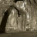 Nadia Hamidi - @NadsHam - Twitter