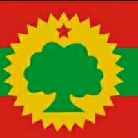 🌳Kormoso (@wadaygalmo123) 's Twitter Profile