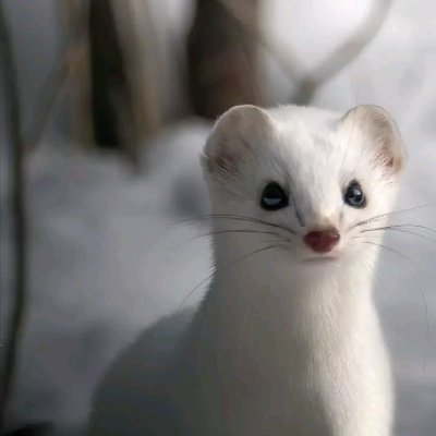 To_phane's profile picture. 