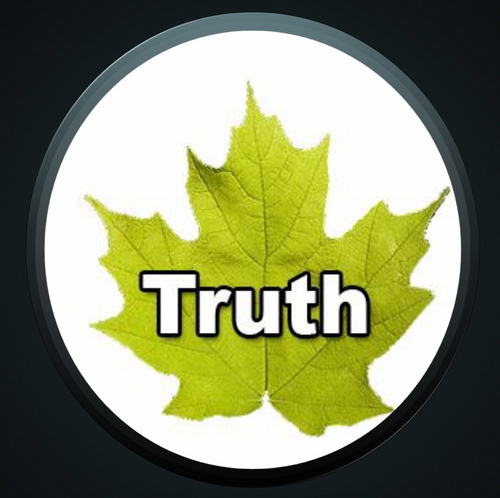 Director, Truth Party Project

-
Independent candidate for MP, Surrey North 2011 Federal Election.   

Youtube: I Have a Plan for World Peace...