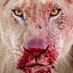 Marcelo Morales (@moralesmarcelo) Twitter profile photo Marcelo Morales (@moralesmarcelo) Twitter profile photo