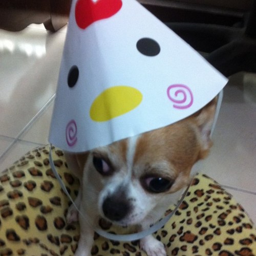 izakilu's profile picture. 