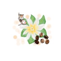 ティアレ〜tiare coffee Roaster〜 (@tiare_coffee) 's Twitter Profile Photo ティアレ〜tiare coffee Roaster〜 (@tiare_coffee) 's Twitter Profile Photo