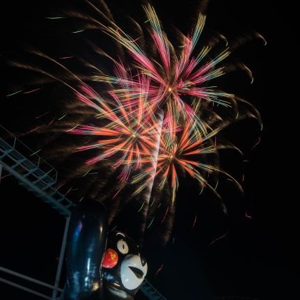 くまもん@一般熊