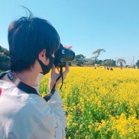 𝑷𝒉𝒐𝒕𝒐𝒉𝒂𝒔𝒉𝒊（ふぉとはし）(@Photohashi_jp) 's Twitter Profile Photo