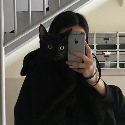 studytwt | 16, sobrevivendo ao ensino médio e entrando no mundo dos vestibulares :)