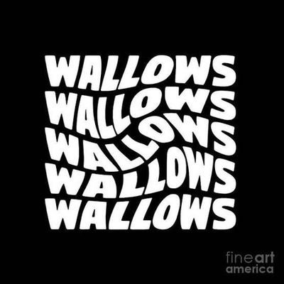 suculentisimo's profile picture. x