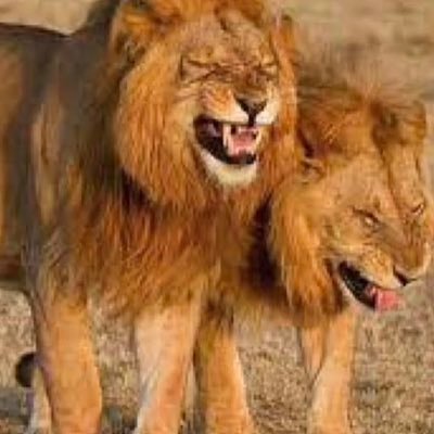 mp2s7784's profile picture. A