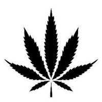 MidWest Cannabis(@MidWestCannabiz) 's Twitter Profile Photo