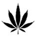 MidWest Cannabis (@midwestcannabiz) Twitter profile photo MidWest Cannabis (@midwestcannabiz) Twitter profile photo