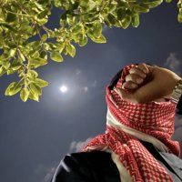 صالح الدلبوح (@sale7df3) 's Twitter Profile