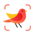 Picture Bird (@birdpicture) Twitter profile photo Picture Bird (@birdpicture) Twitter profile photo