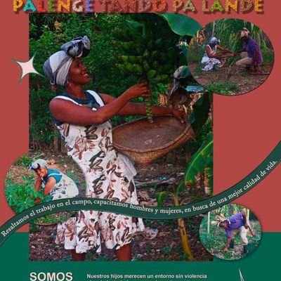 PazCampesinos's profile picture. Nace de una iniciativa en busca del fortalecimiento de nuestros campesinos en pro de mejorar su calidad de vida