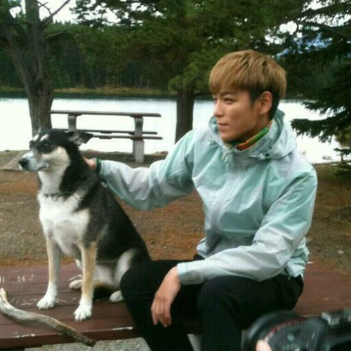 mi_mi_mi3's profile picture. 👑BIGBANG タプペン
🦊ソイングクに沼落ち