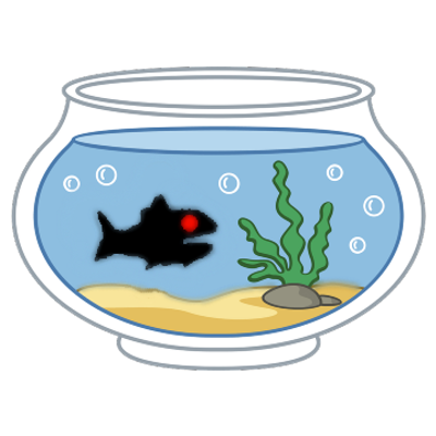 fishtank_fan Profile