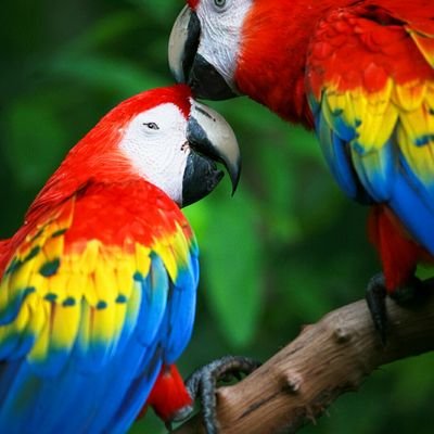 mptijadgtmw's profile picture. 山口県東部で60歳独身イケメンじゃないオッチャンで口下手で何十年もセックスしてません。身長低くて毛深いです。メタボで短小で早漏です。それでもいいよって言う人がいたらエッチしませんか？！
よろしくお願いします！
DM下さい💞