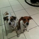 Raymond Bernhardt - @Raybern1979 - Twitter