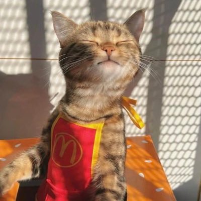 anilove0900's profile picture. ペットや動物の写真や動画お待ちしております！￤かわいい動物のツイートをしてます！￤動物ペット好きな方と繋がりたいです☺️