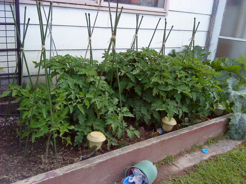 SubsistenceNZ's profile picture. 