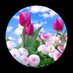 سوسو (@iill1h0) Twitter profile photo سوسو (@iill1h0) Twitter profile photo