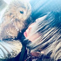 モリフクロウ美琴とオリエンタルベイ月夜　フクモモ一家(@JZXDsbarduffy) 's Twitter Profile Photo