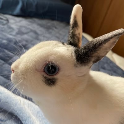 ArutohimeMf121's profile picture. 