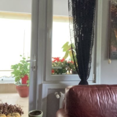 fesi66's profile picture. 