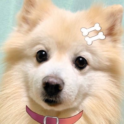 りくま🥐祝ゲマズ2！！🎮さんのプロフィール画像