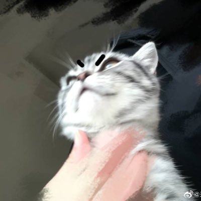 wutang304192179's profile picture. 什么都会一点唯独不会画画的同人女