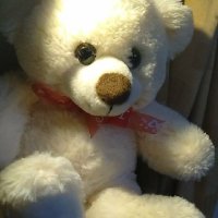 E-Bear/Bare (Snowy)(@E00710898E) 's Twitter Profile Photo